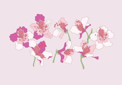 Rhododendron Flowers Vector