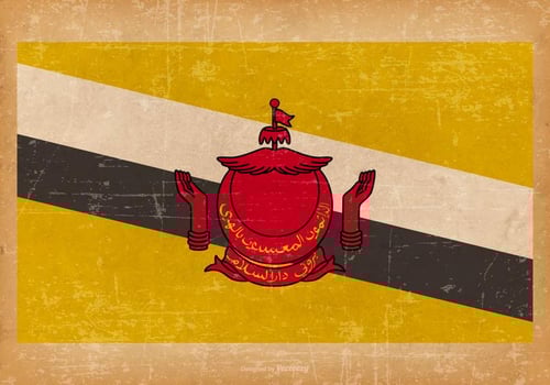 Flag of Brunei on Grunge Background vector