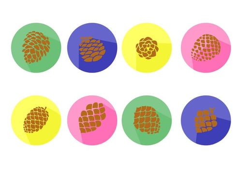 Free Pine Cones Icons Vector