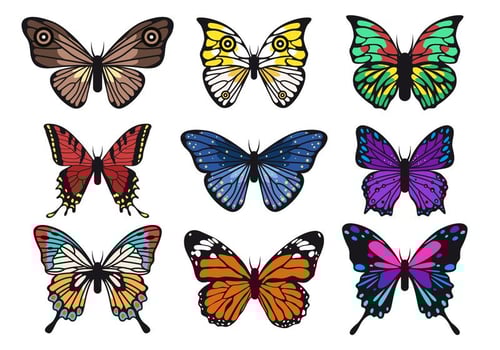 Beautiful Butterfly Vector Collections 