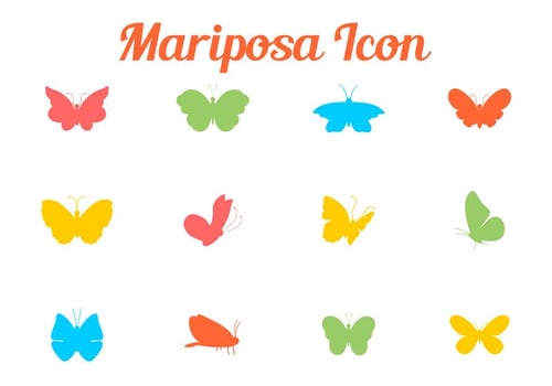 Colorful Butterfly Silhouette  vector