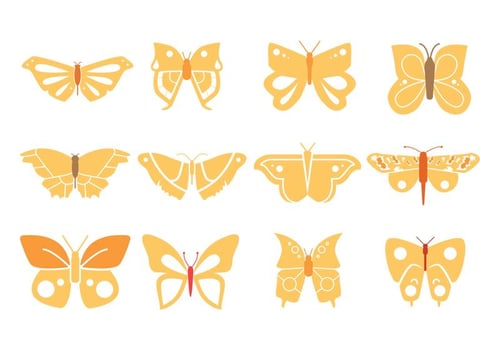 Butterflies Design vector