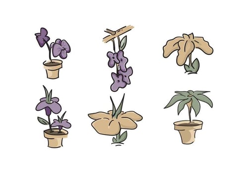 Free Beautiful Iris Flower Vector