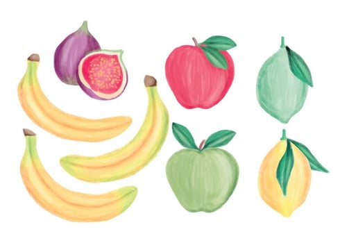 Vector Hand Drawn Fruits Collection