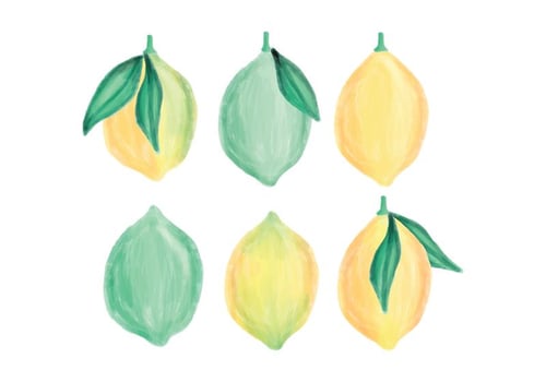 Vector Hand Drawn Lemons Collection