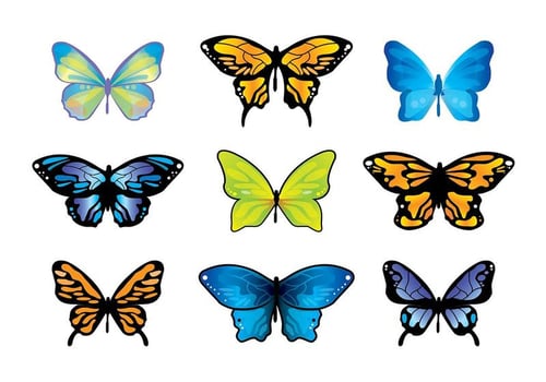 Mariposa Butterfly Vector Set