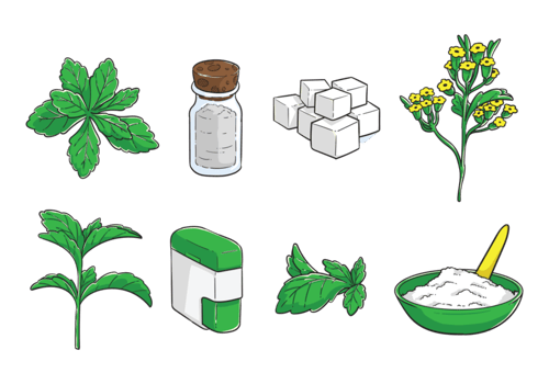 Free Hand Drawn Stevia Vector