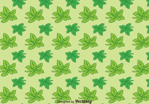 Stevia Leaves Green Background Pattern Vector