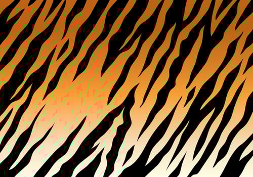 Tiger Stripe Background vector