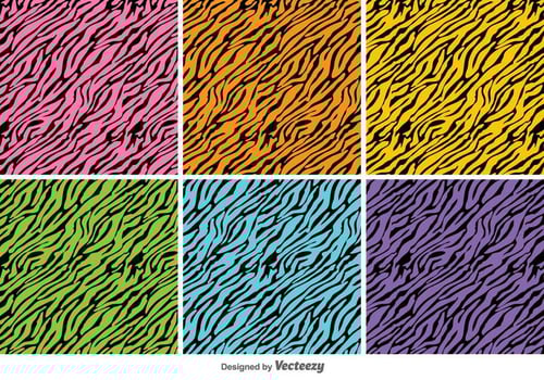 Vector Colorful Tiger Stripes Background Set