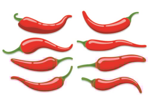 Set Of Chili Vectors