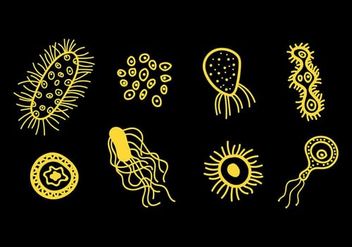 Mold Vector Icons