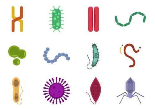 Mold and Virus Vector Collections