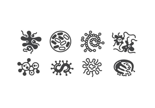 Micro oraganism vectors