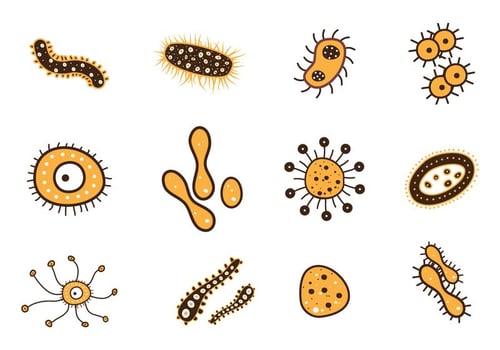 Bacteria Mold set vector
