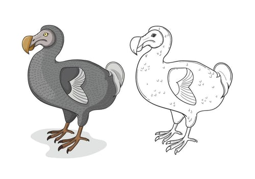 Grey Dodo Bird Illustration vector