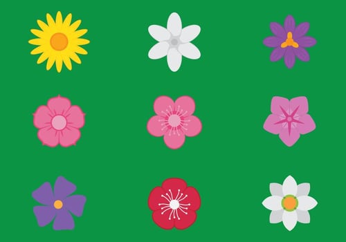 Flower Icons vector