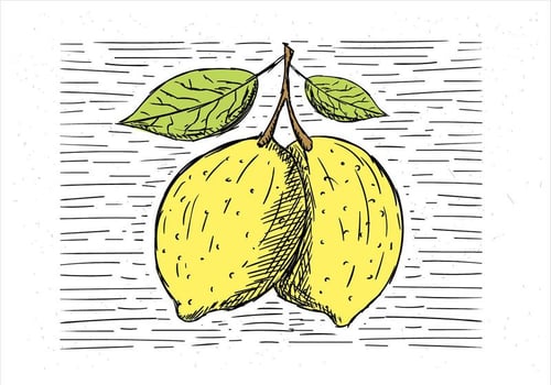 Free Hand Drawn Vector Lemon Illustration