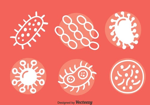 White Virus Bacteria Vector Sets