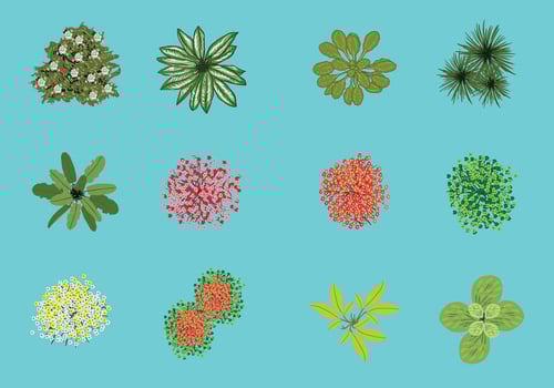 12 Top Trees vector