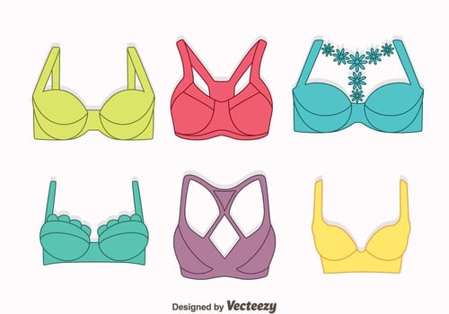 Nice Colorful Bra And Bustier Vectors