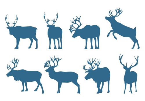 Deer Collection Silhouettes vector
