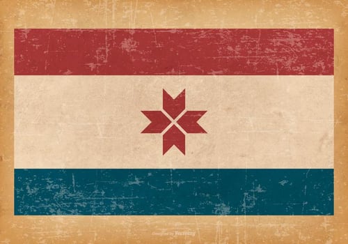 Grunge Flag of Mordovia vector