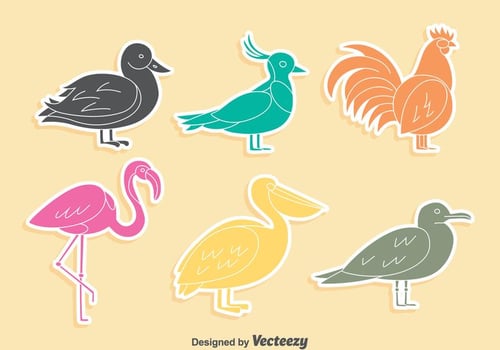 Colored Fowl Silhouette Collection Vector