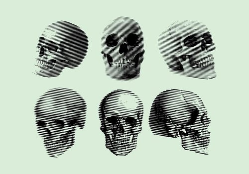 Gravure Skull Vector
