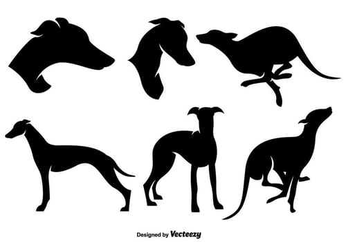 Stylized Silhouettes Of Whippet Dog Silhouettes vector