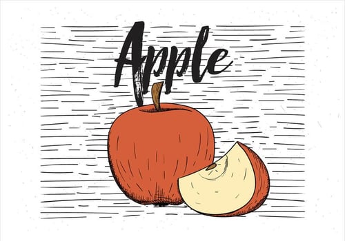 Free Vector Hand Drawn Apple Illustration