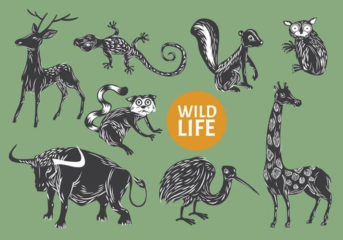 Collection of Gravure Style Illustration Animal Wild Life vector