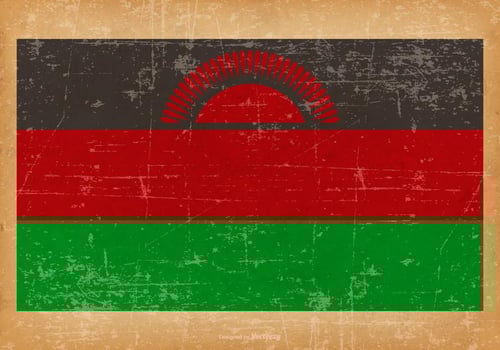 Grunge Flag of Malawai vector