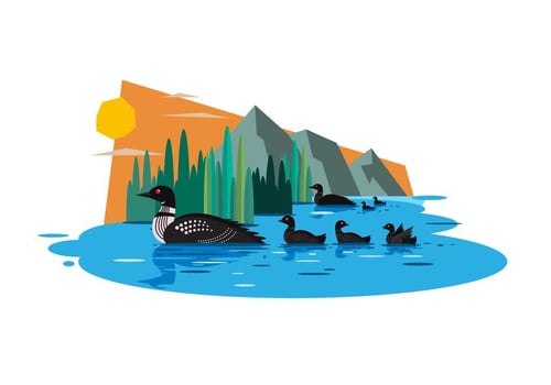 Loons Vector Illustration