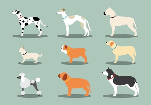 Dog Icon Set vector