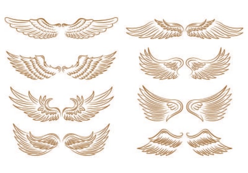 Set Of Angel Wings Icons vector