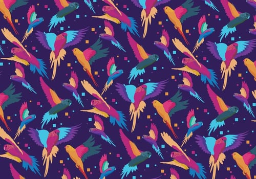 Colorful Budgie Vector 