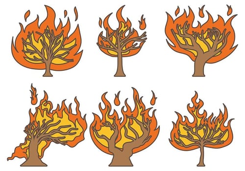 Burning Bush Vector Icons