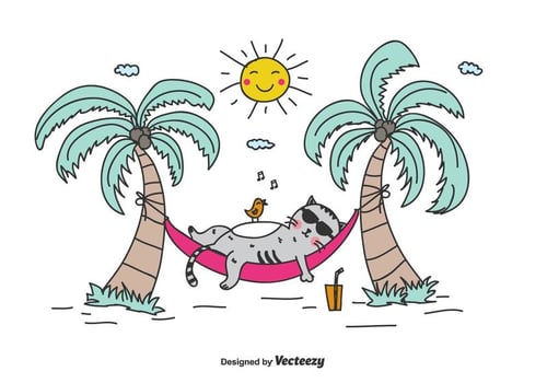 Summer Vacation Vector Background
