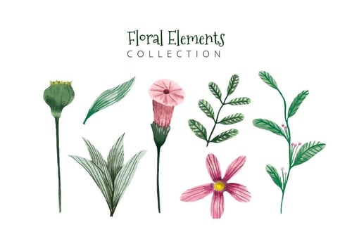 Cute Watercolor Elements Flowers And Leaves vector