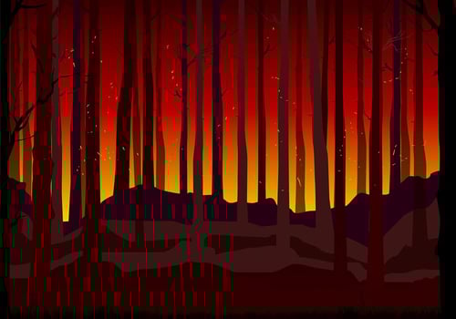 Burning Forest Background Free Vector