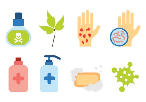 Set Of Poison Ivy Icons vector