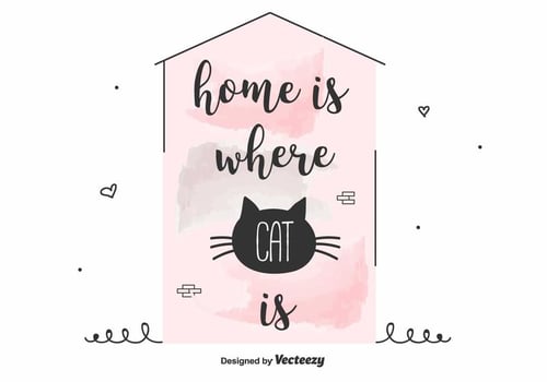 Cat Inspirational Quote Vector