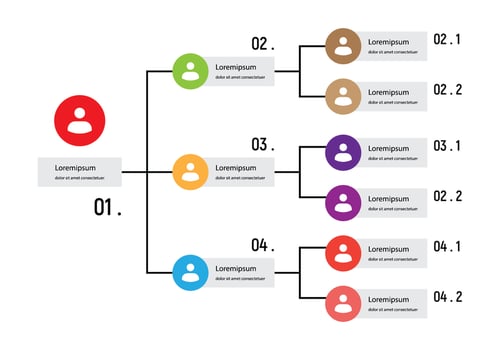 Organization Chart Infographic vector