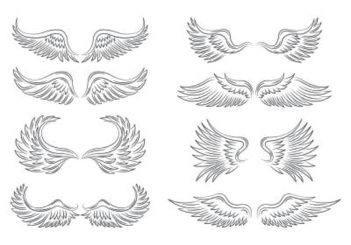 Set Of Angel Wings Icons vector