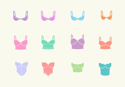 Bra and Bustier Vector