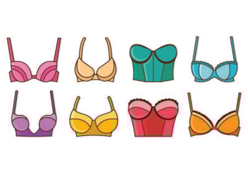 Set Of Bustier Vectors