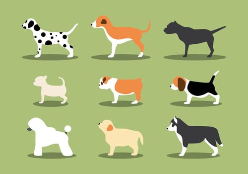 The Puppies Vectors 