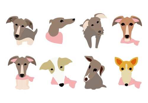 Free Whippet Dog Face Icons Vector