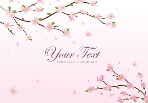 Dogwood Flowers And Branches Background vector